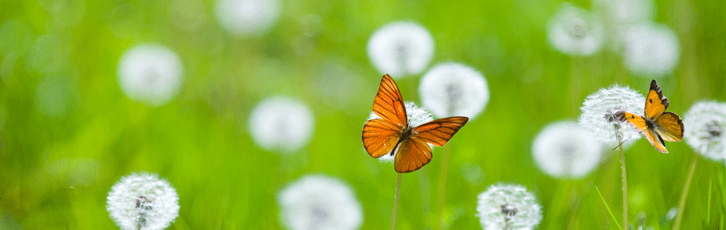 산하온환경연구소. 지속가능한 사회로 나아가는 새로운 세상을 열겠습니다.